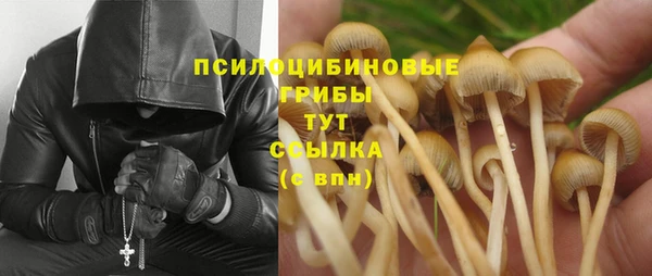 гидропоника Куйбышев